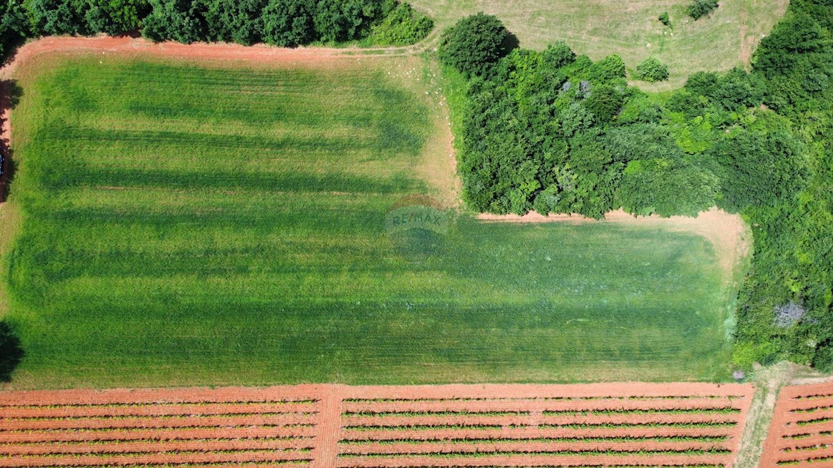 ISTRIA, POREČ - land 6420 m2 