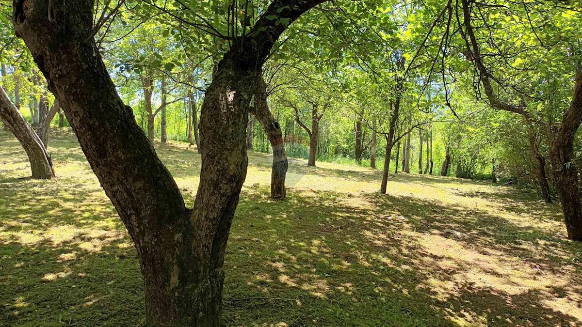 Stavbno zemljišče Lič, Fužine, 2.594m2