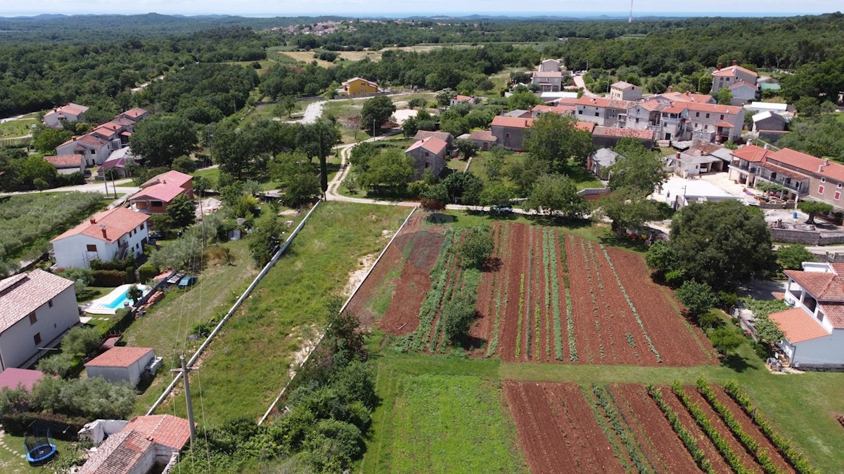 ISTRIA, ST. LOVREČ - Construction land 1313 m2 with project 