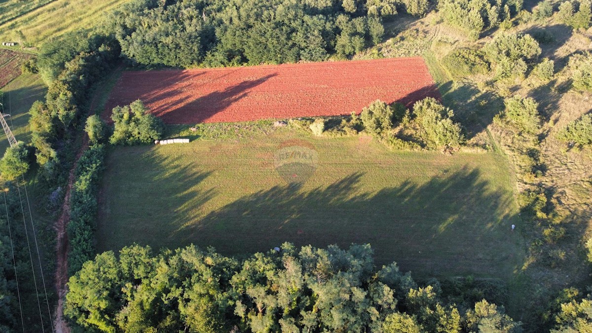 Stavbno zemljišče Brtonigla, 25.109m2