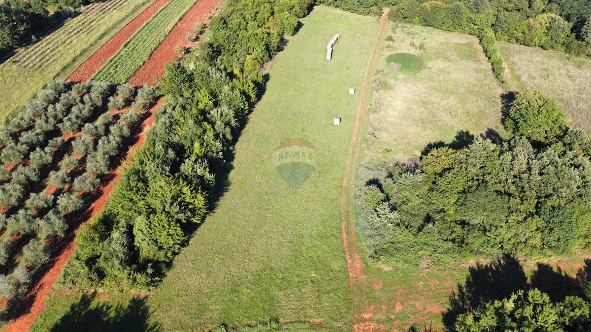 Stavbno zemljišče Brtonigla, 25.109m2