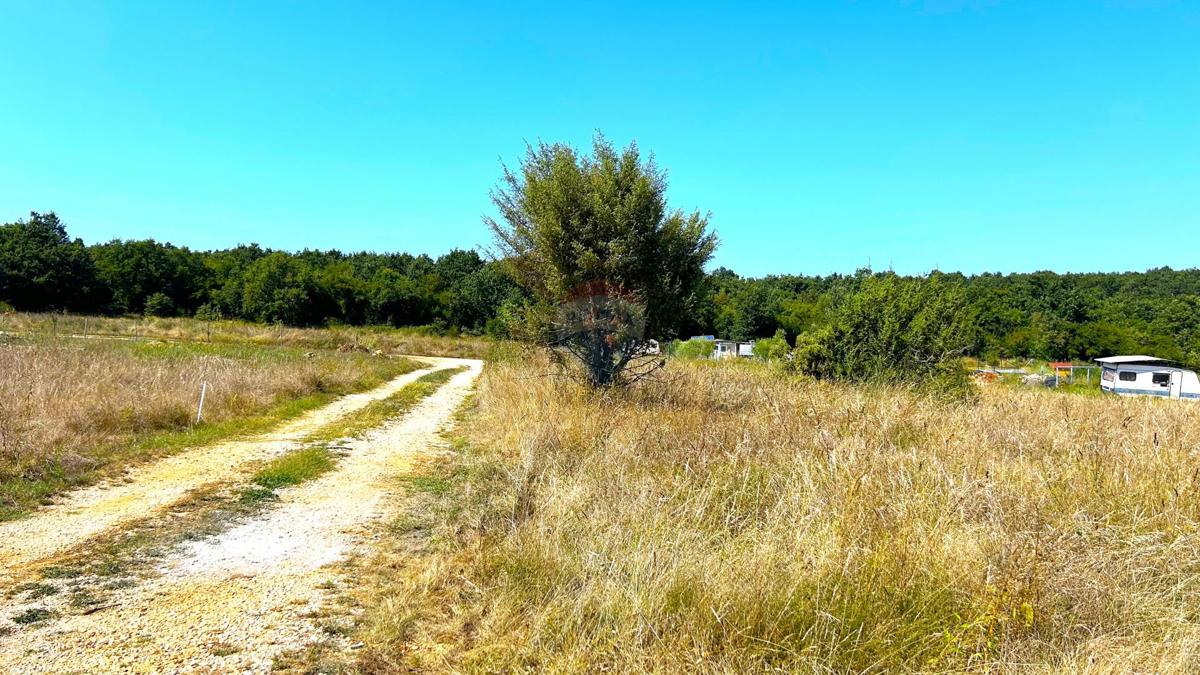 Stavbno zemljišče Bužinija, Novigrad, 580m2