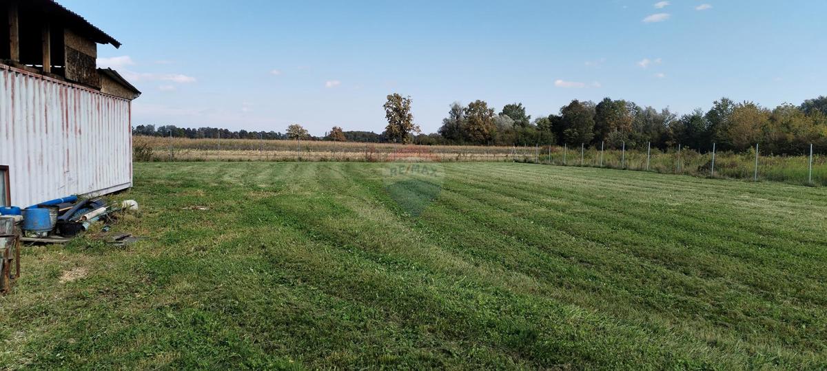 Stavbno zemljišče Obed, Orle, 3.506m2