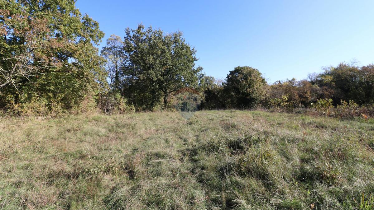 Stavbno zemljišče Višnjan, 2.005m2