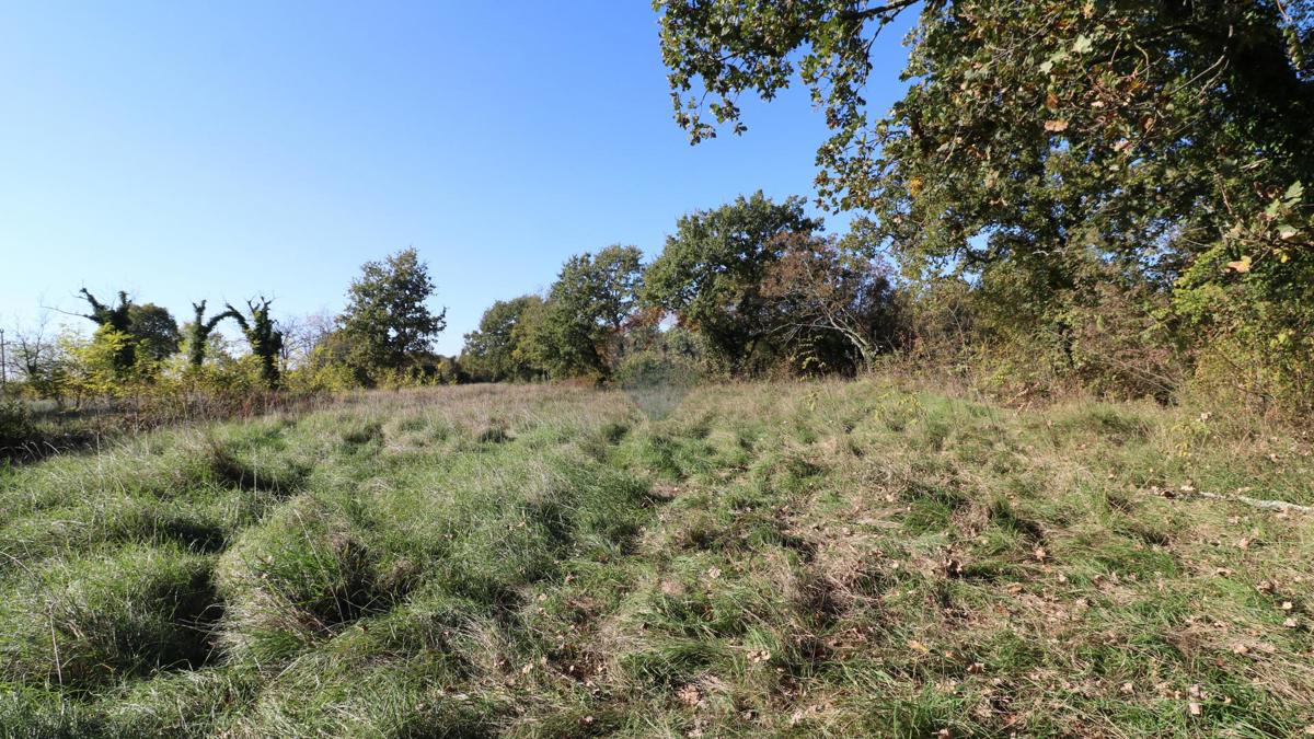 Stavbno zemljišče Višnjan, 2.005m2
