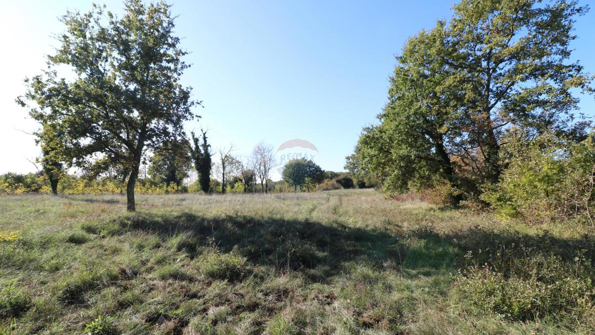 Stavbno zemljišče Višnjan, 2.005m2