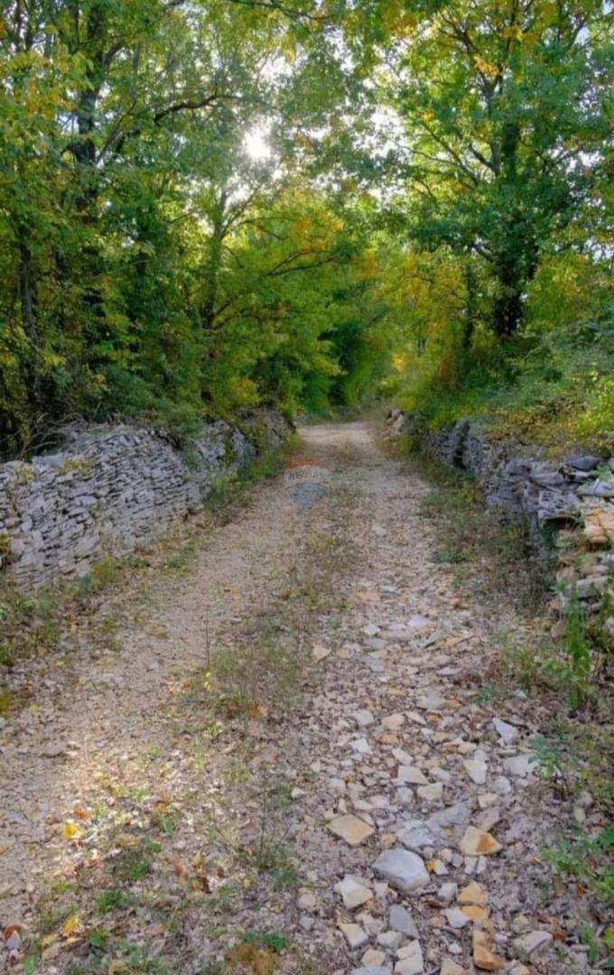 Stavbno zemljišče Barat, Kanfanar, 4.255m2