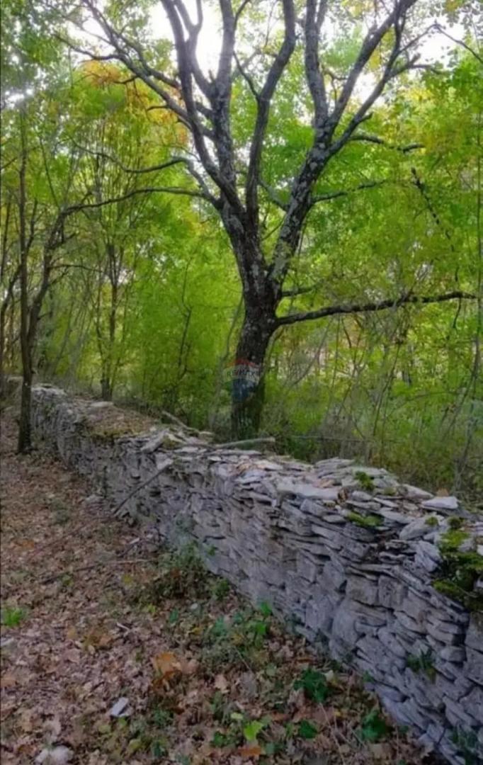 Stavbno zemljišče Barat, Kanfanar, 4.255m2
