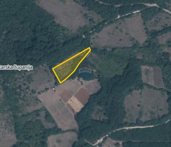 Stavbno zemljišče Barat, Kanfanar, 4.255m2