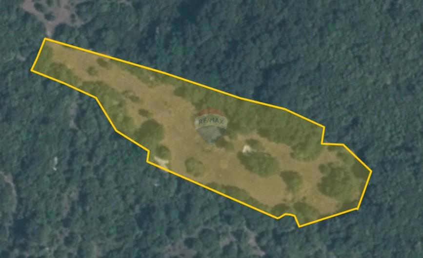 Stavbno zemljišče Bale, 6.300m2