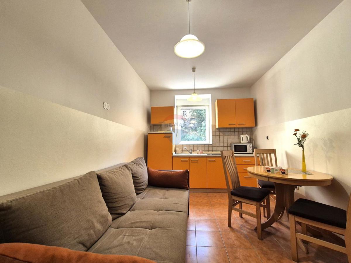 Stanovanje/Apartma Potok, Rijeka, 41,65m2