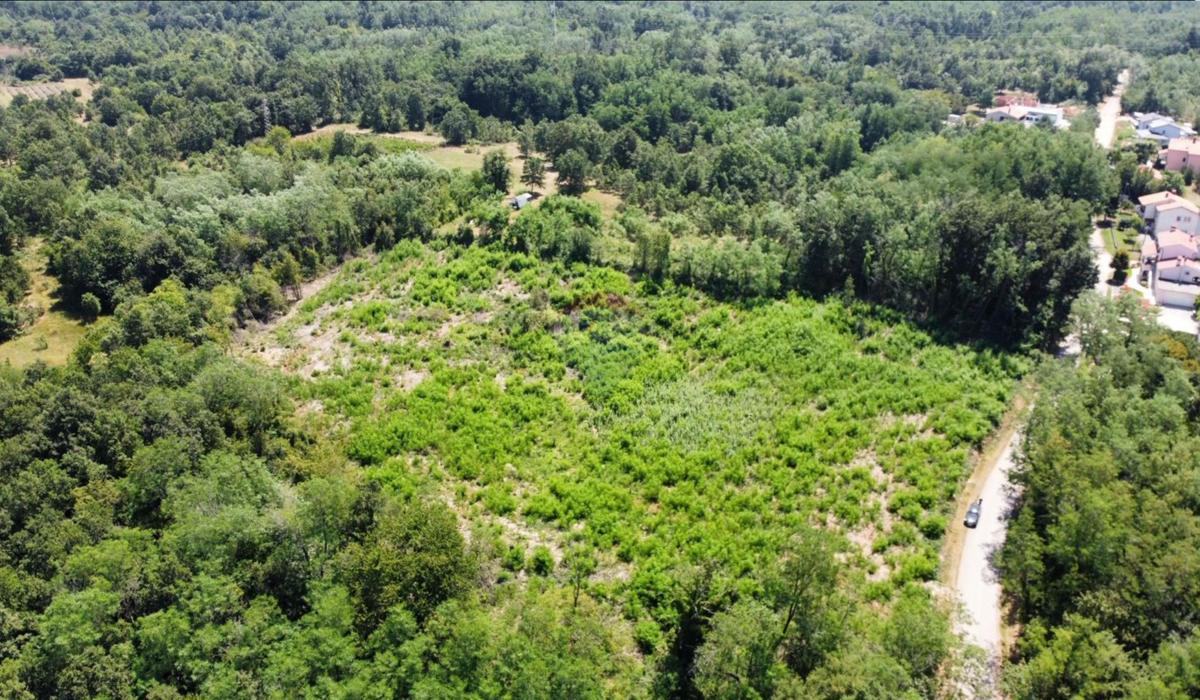 Istria, Labin - Building Land in Nature 