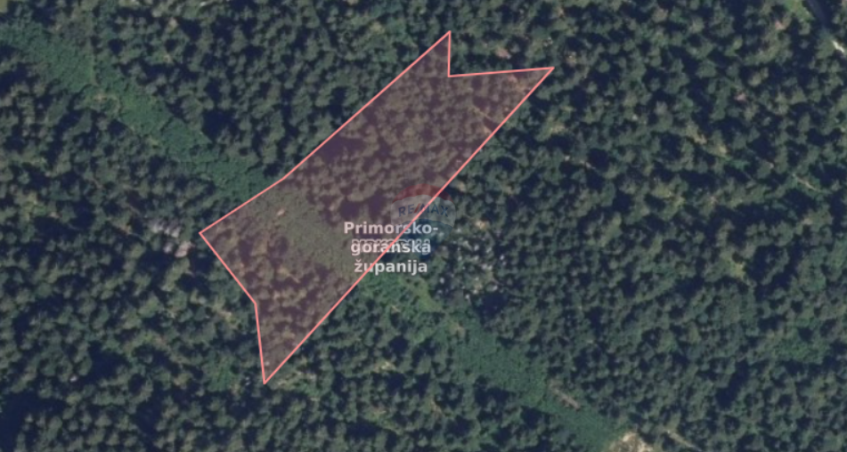Stavbno zemljišče Sunger, Mrkopalj, 11.900m2