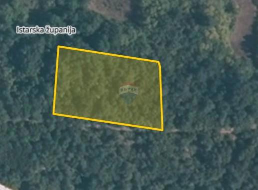 Stavbno zemljišče Sveti Lovreč, 3.840m2
