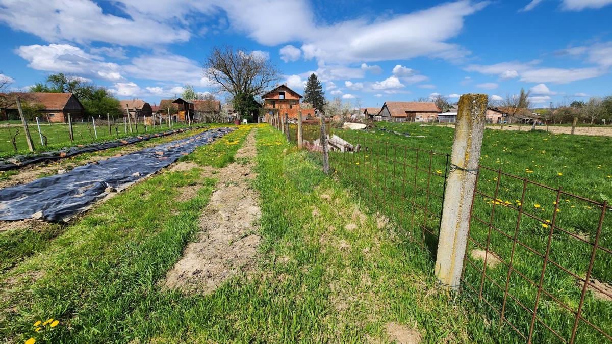 Hiša Repušnica, Kutina, 443,80m2