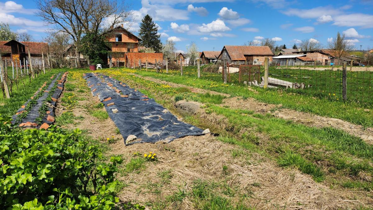 Hiša Repušnica, Kutina, 443,80m2