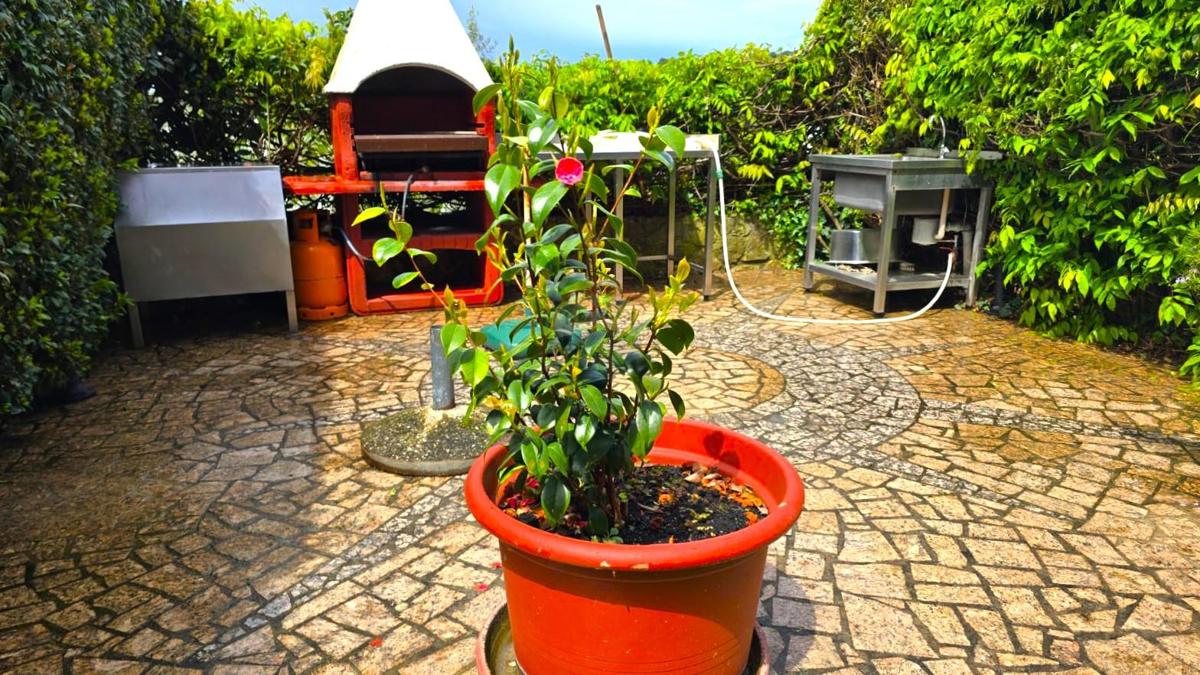 Stanovanje/Apartma Rovinj, 43m2