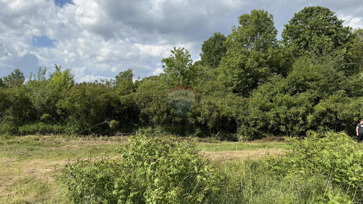 Stavbno zemljišče Sela, Sisak - Okolica, 8.456m2