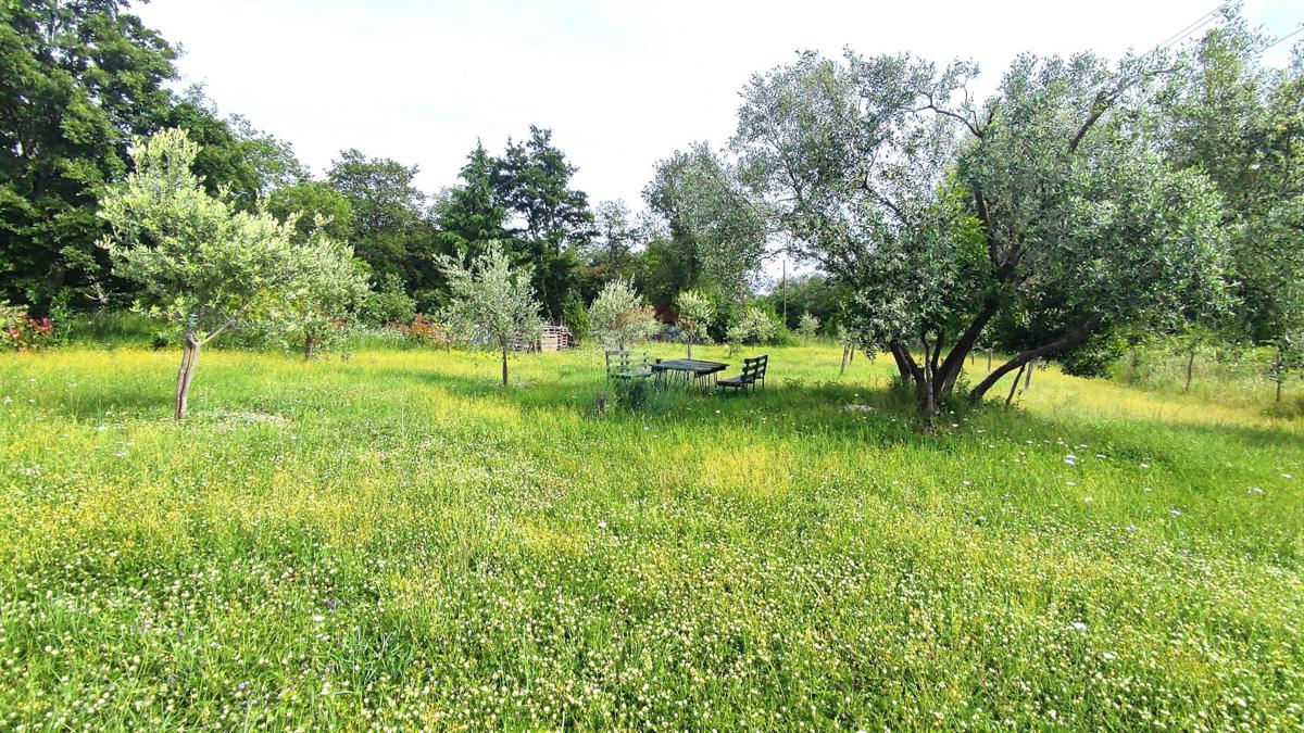 Stavbno zemljišče Seget, Umag, 2.685m2