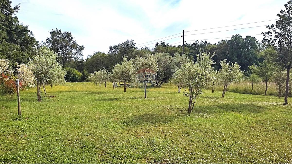 Stavbno zemljišče Seget, Umag, 2.685m2