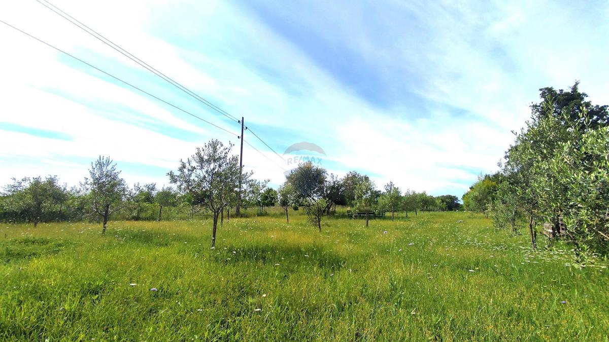 Stavbno zemljišče Seget, Umag, 2.685m2