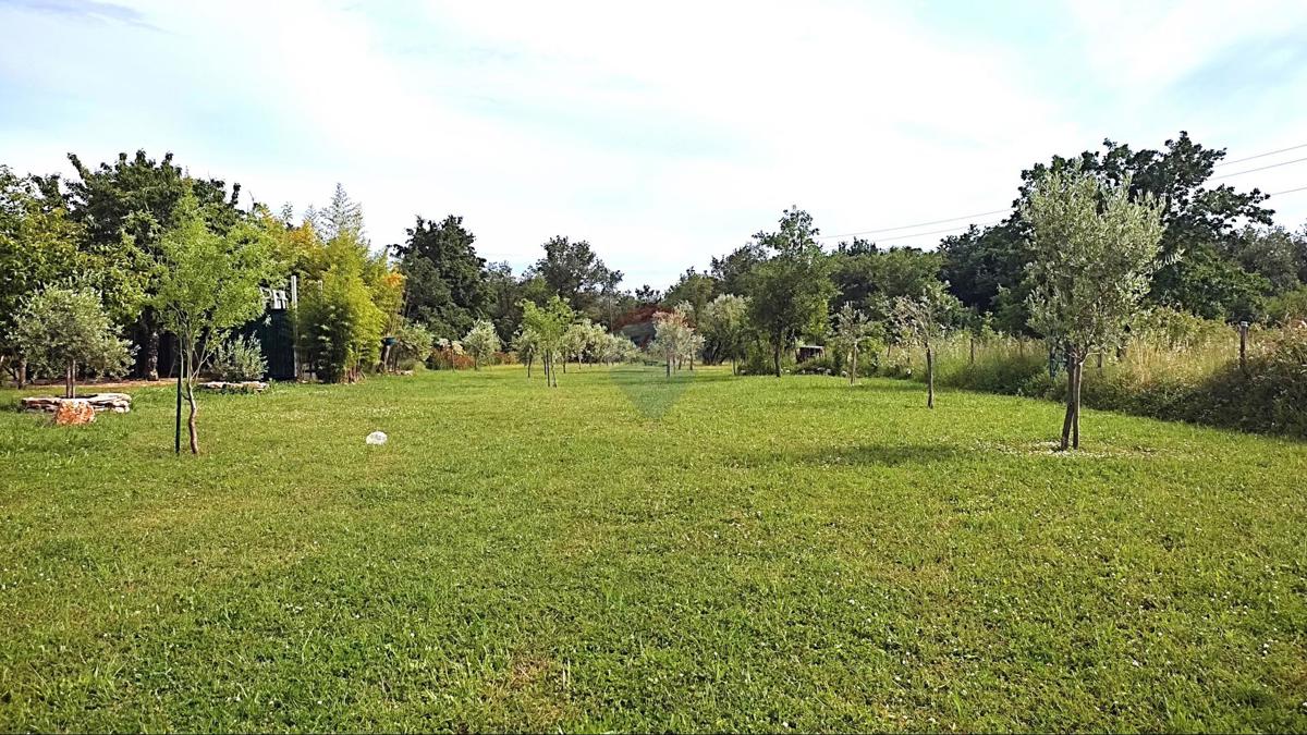 Stavbno zemljišče Seget, Umag, 2.685m2