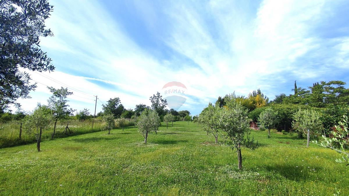 Stavbno zemljišče Seget, Umag, 2.685m2