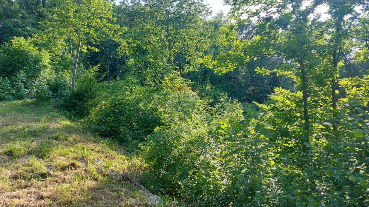 Stavbno zemljišče Klana, 2.062m2