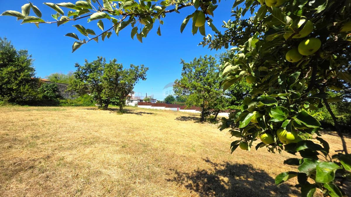 Stavbno zemljišče Brtonigla, 516,38m2