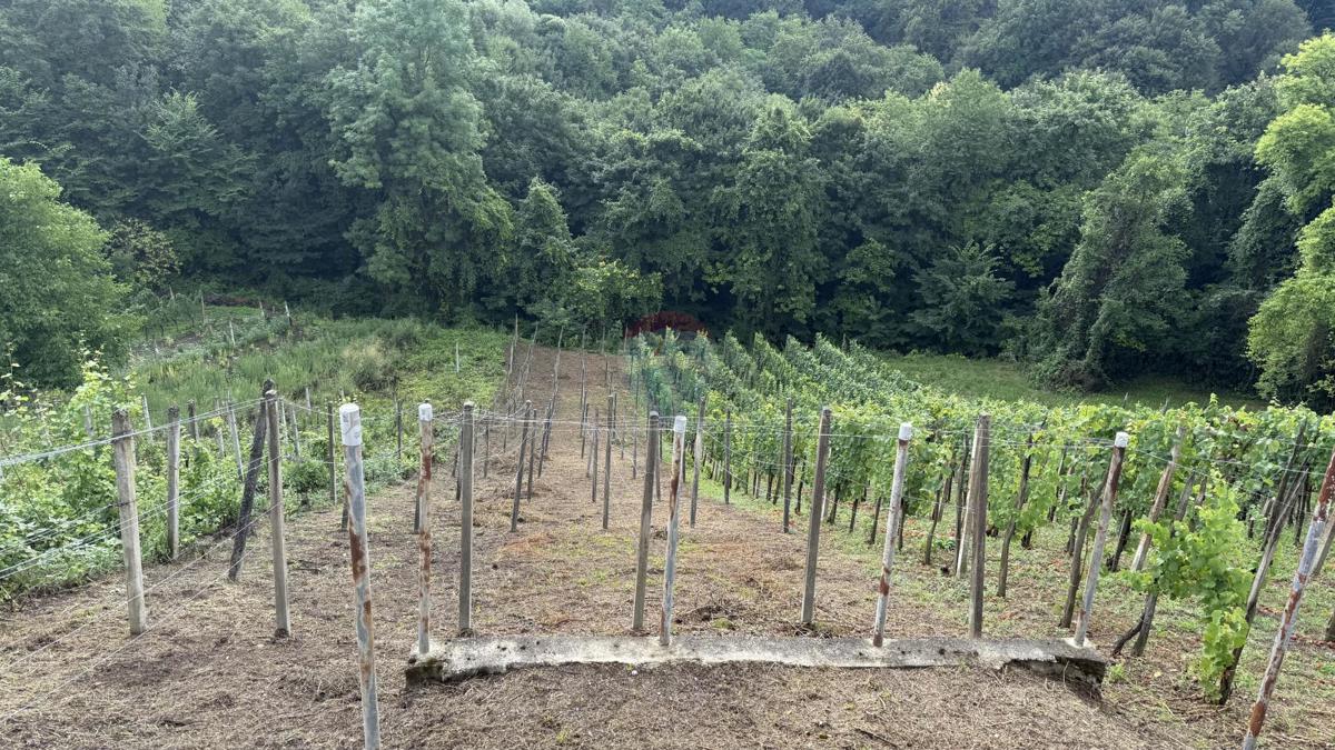 Hiša Novi Dvori Klanječki, Klanjec, 66,17m2
