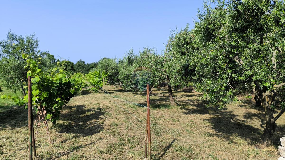 Stavbno zemljišče Marčana, 1.695m2
