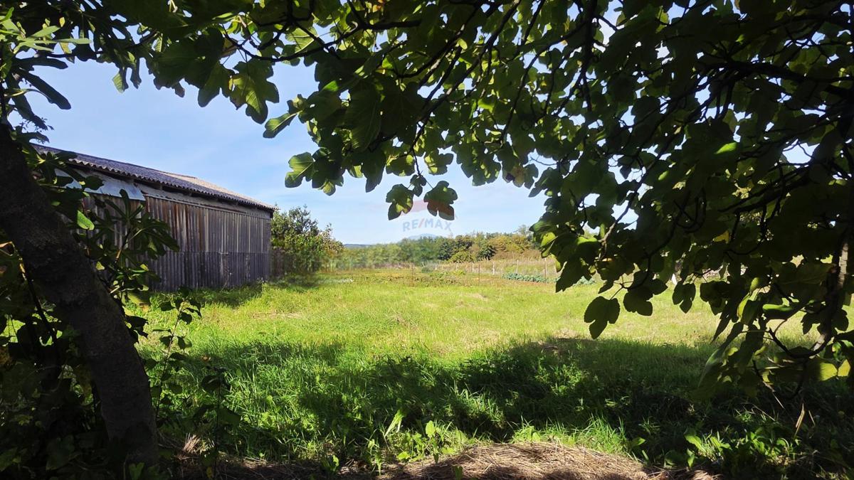 Stavbno zemljišče Oprtalj, 453m2