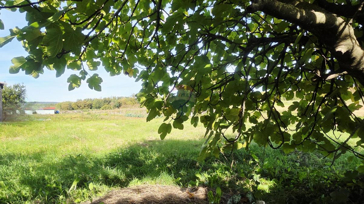 Stavbno zemljišče Oprtalj, 453m2