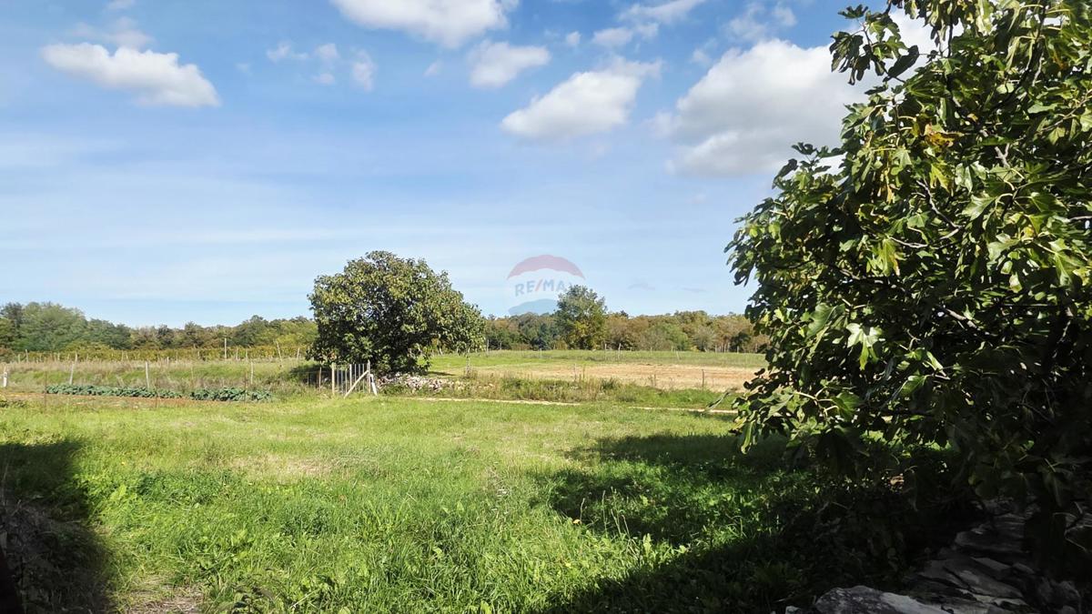 Stavbno zemljišče Oprtalj, 453m2