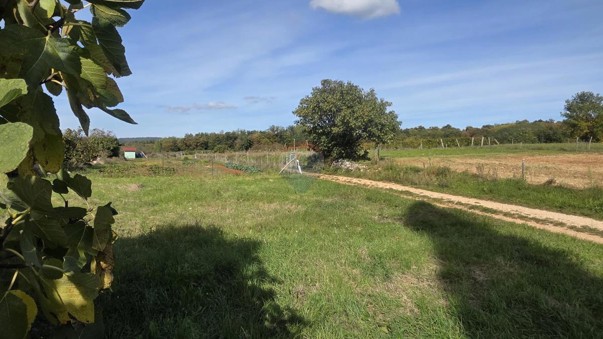 Stavbno zemljišče Oprtalj, 453m2