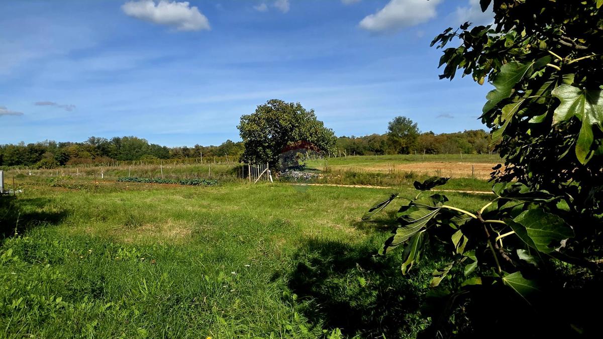 Stavbno zemljišče Oprtalj, 453m2