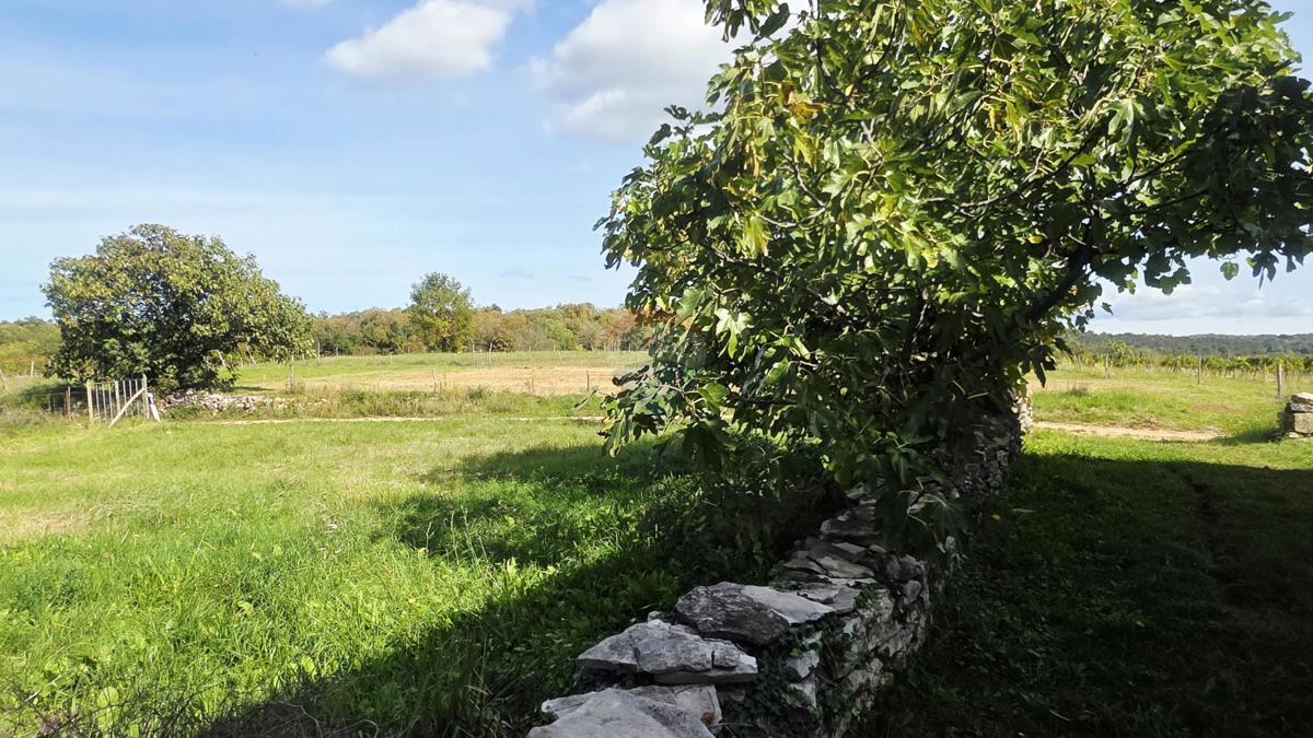 Stavbno zemljišče Oprtalj, 453m2