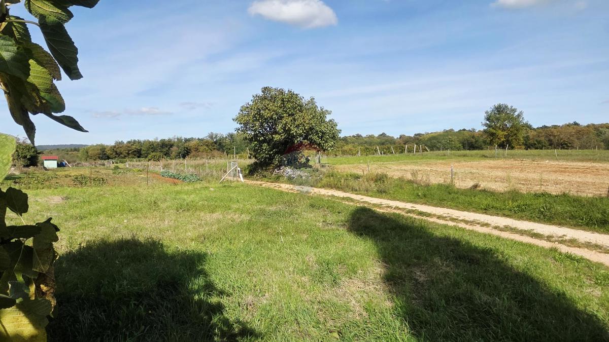 Stavbno zemljišče Oprtalj, 453m2