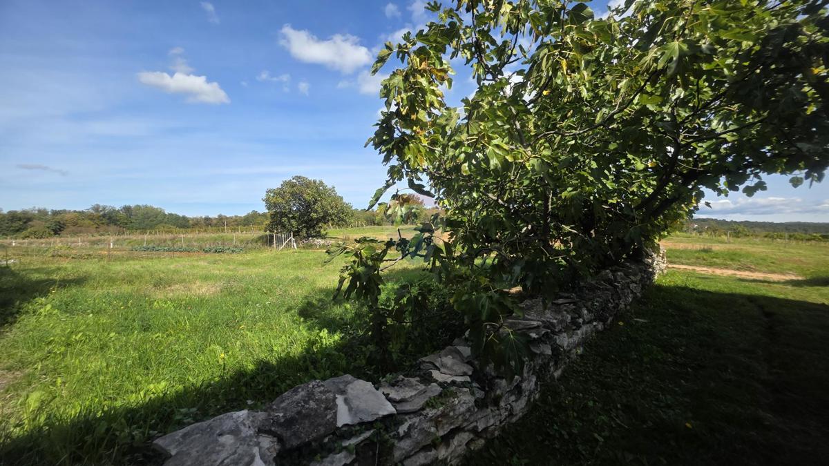 Stavbno zemljišče Oprtalj, 453m2