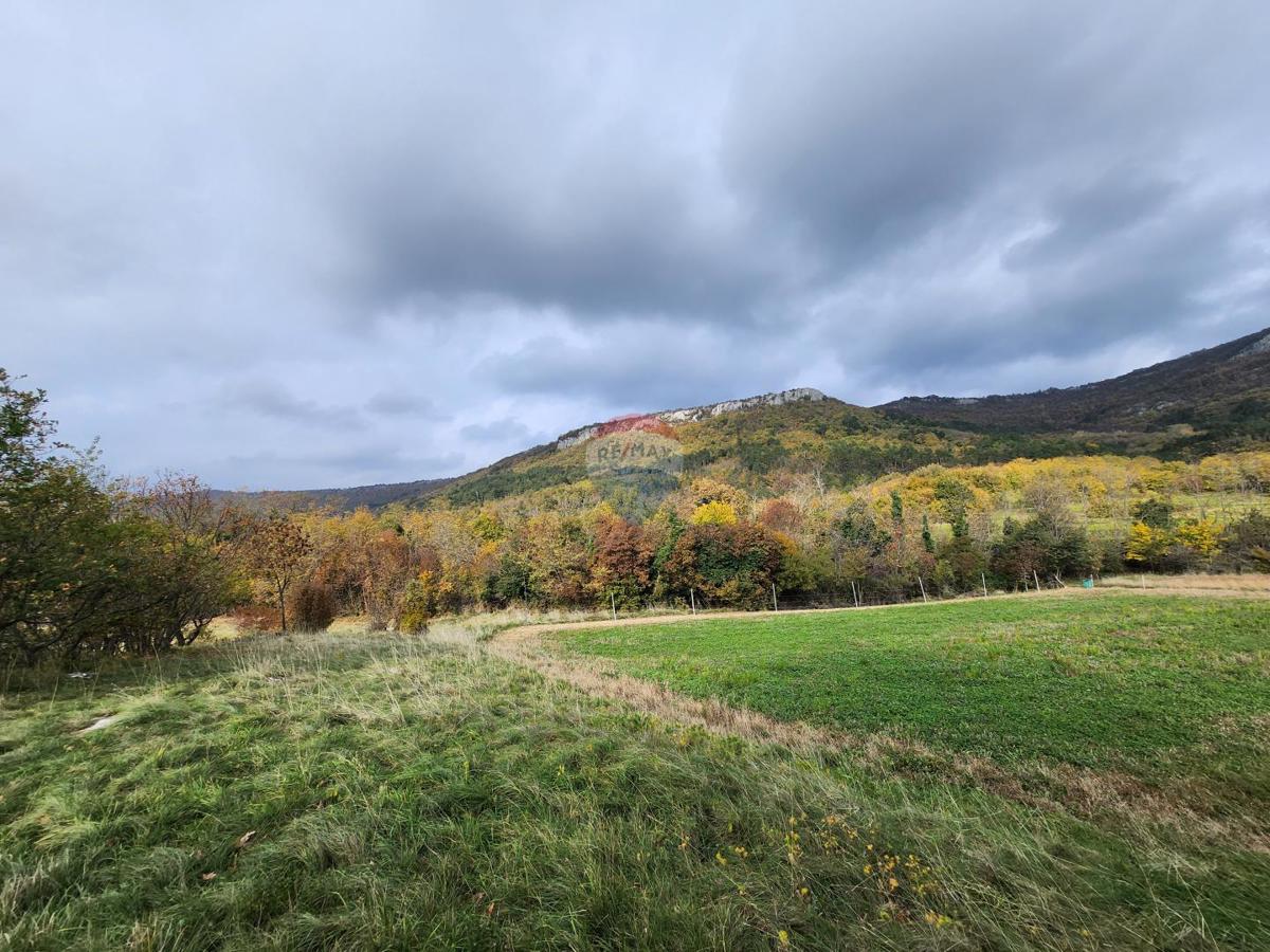 Stavbno zemljišče Roč, Buzet, 3.293m2
