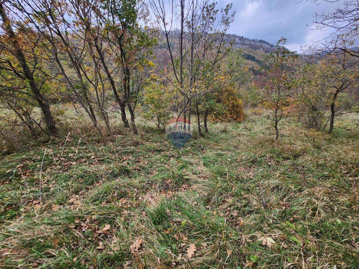 Stavbno zemljišče Roč, Buzet, 3.293m2