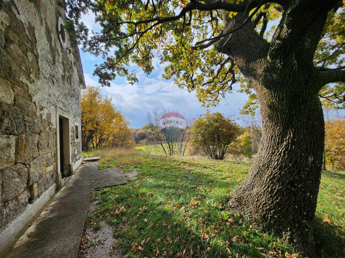 Stavbno zemljišče Roč, Buzet, 3.293m2