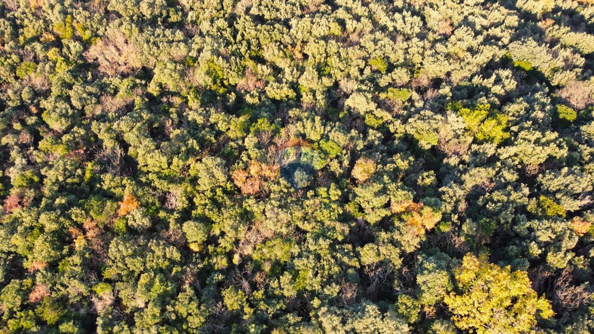 Stavbno zemljišče Rovinj, 2.000m2