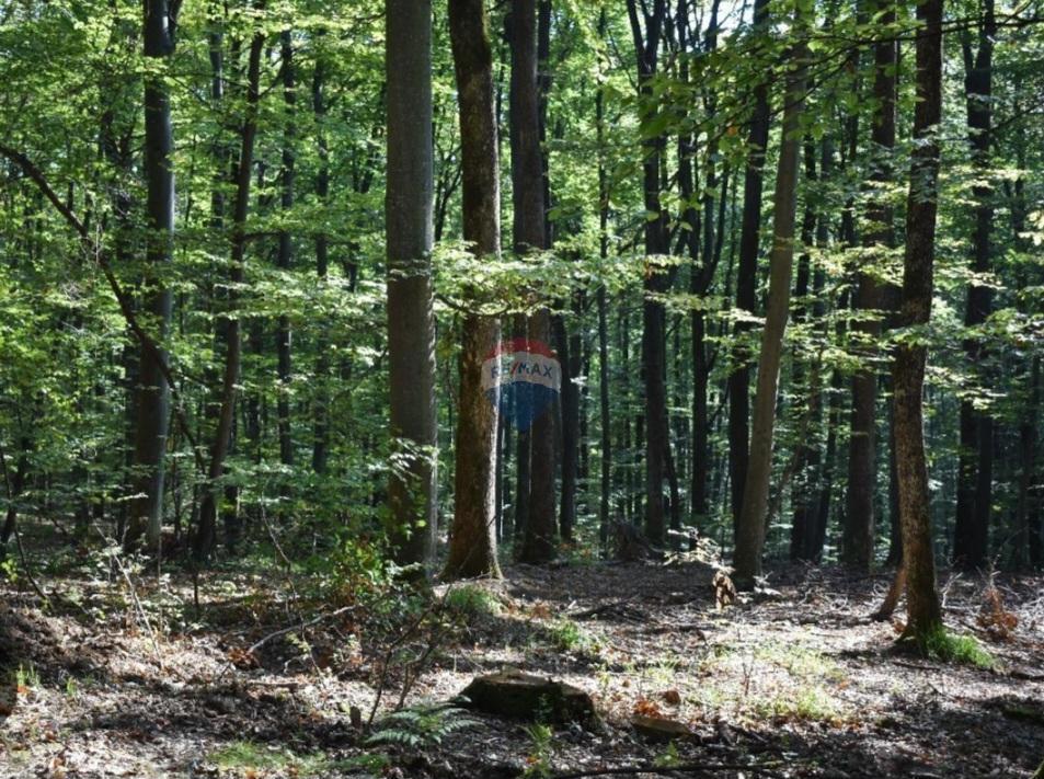 Stavbno zemljišče Cerovlje, 39.181m2