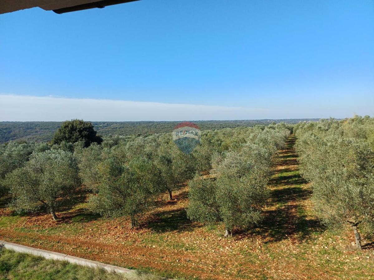 Hiša Veliki Vareški, Marčana, 450m2