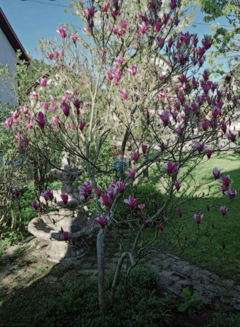 Stanovanje/Apartma Delnice, 829m2