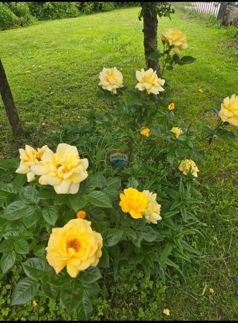 Stanovanje/Apartma Delnice, 829m2