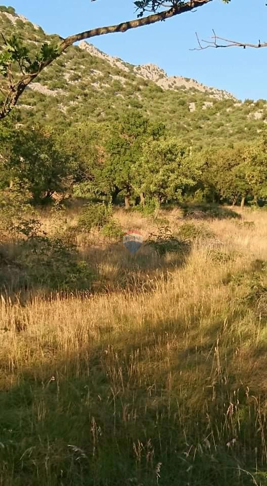 Stavbno zemljišče Karlobag, 1.260m2