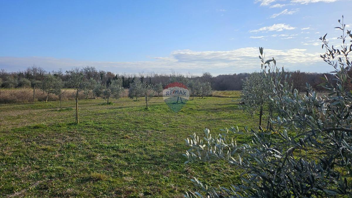 Stavbno zemljišče Lovrečica, Umag, 1.327m2