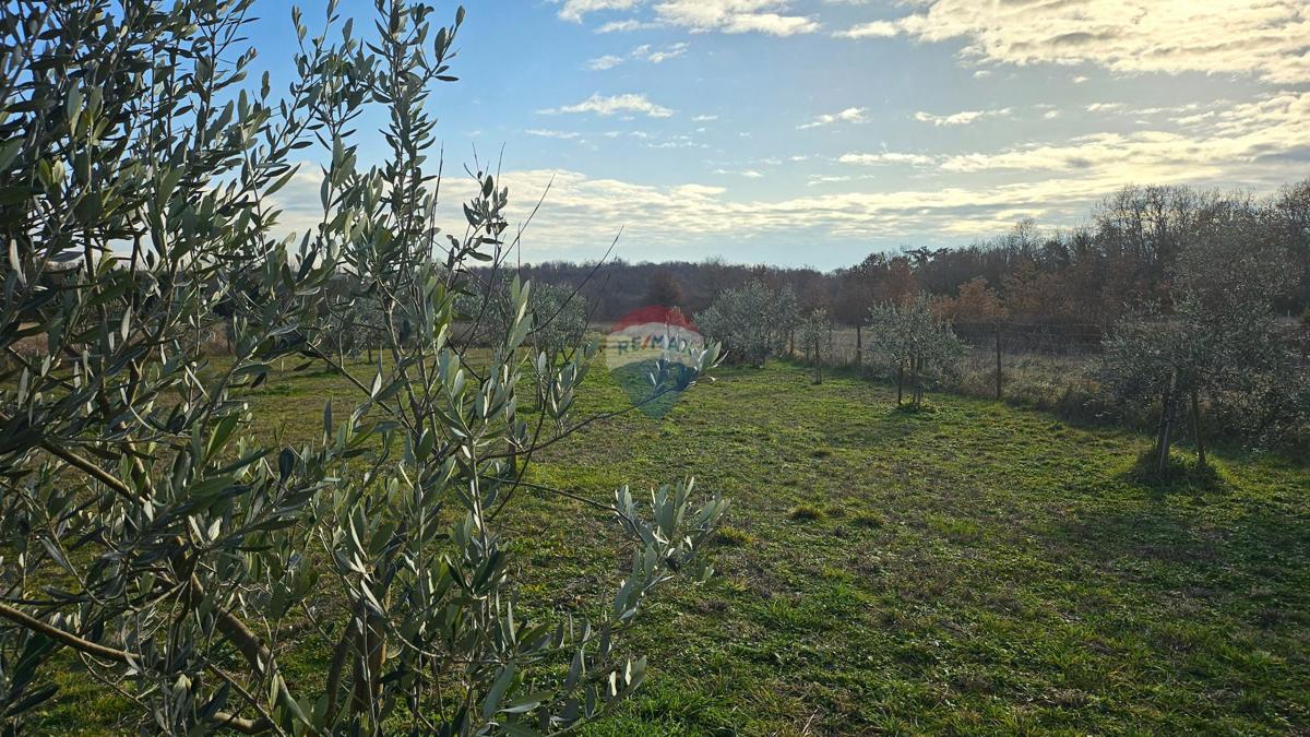 Stavbno zemljišče Lovrečica, Umag, 1.327m2